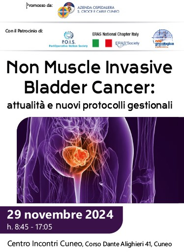 Immagine_2024-11-05_110533