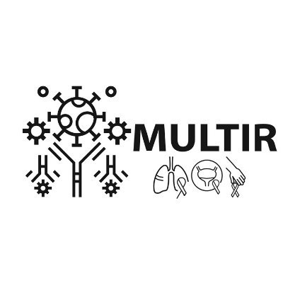 MULTIR: un progetto europeo sull'adozione di strumenti di Intelligenza Artificiale 