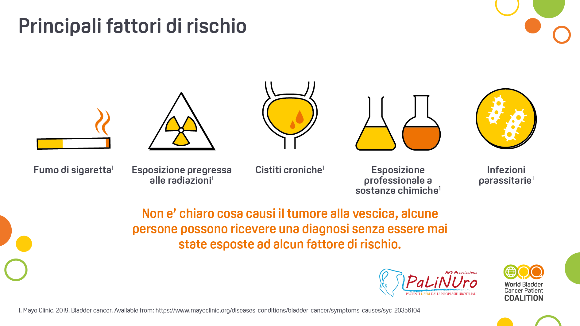 Bladder Cancer Facts ITA